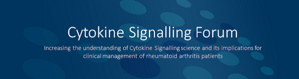 Cytokine Signalling Forum