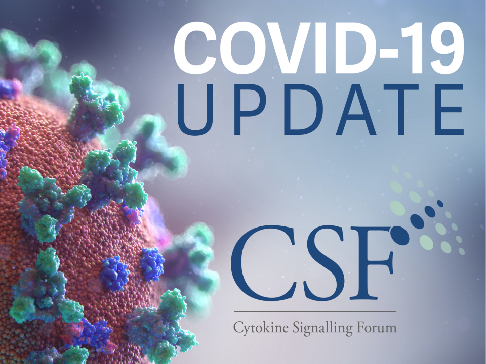 Understanding the Implications of COVID-19 for Patients with Inflammatory Rheumatic Diseases