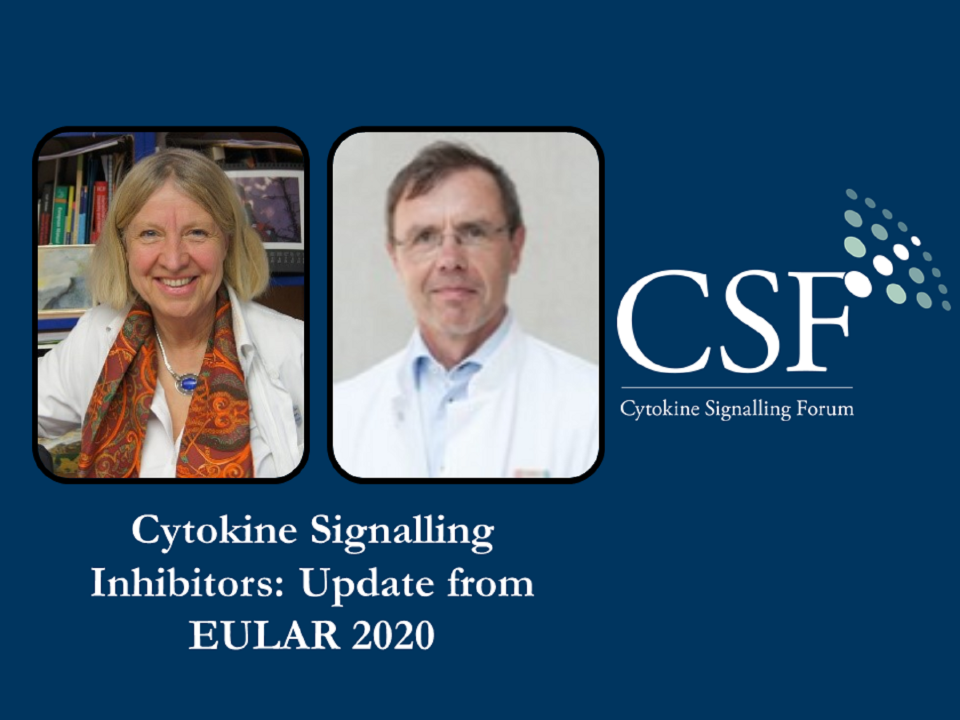Cytokine Signalling Inhibitors: Update from EULAR 2020