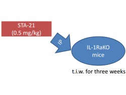 Publication thumbnail: STA-21, a promising STAT3 inhibitor that reciprocally regulates Th17 and Treg, inhibits osteoclastgenesis and alleviates autoimmune inflammation