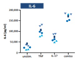 Publication thumbnail: Combined inhibition of TNF&alpha; and IL-17 as therapeutic opportunity for treatment in rheumatoid arthritis: Development and characterization of a novel bispecific antibody