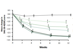Publication thumbnail: Efficacy and Safety of Tofacitinib as Monotherapy in Japanese Patients With Active Rheumatoid Arthritis: A 12-Week, Randomized, Phase 2 Study
